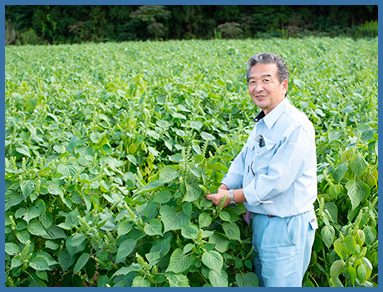 良質な「えごま油」も製造